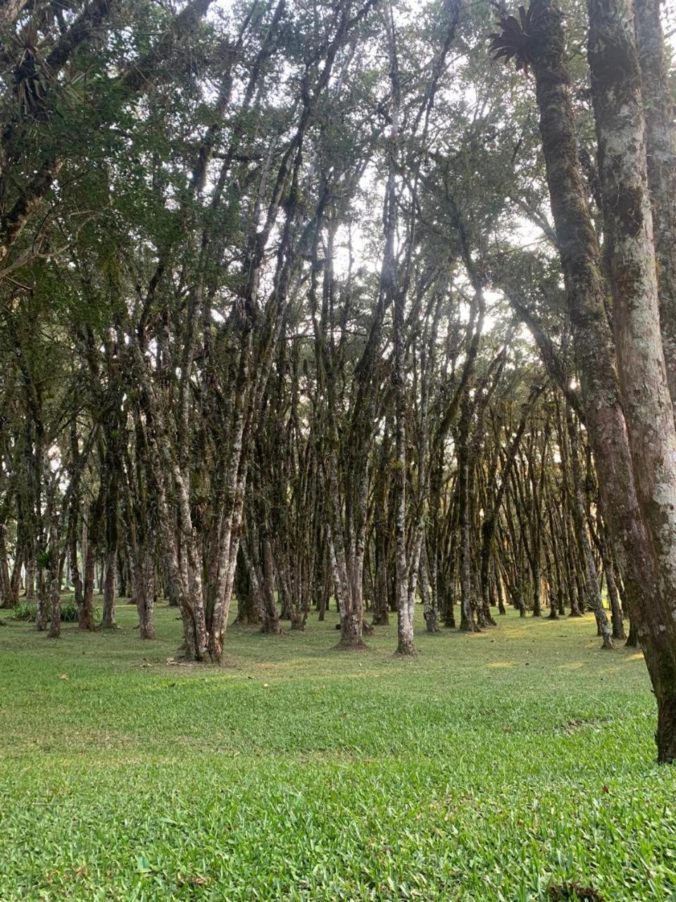Hotel Villa Passaredo Tijucas do Sul Zewnętrze zdjęcie